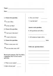 English Worksheet: Types of Sentences: Questions