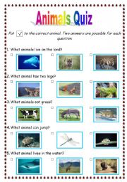 animals quiz