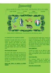 English Worksheet: Ecotourism (reading activity)