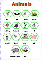 English worksheet: animals