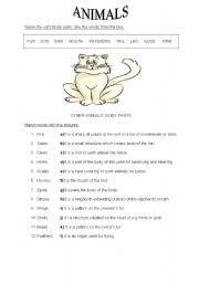 English Worksheet: Animals body parts