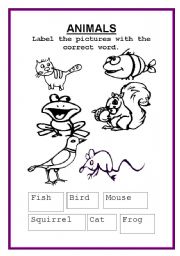 English worksheet: animals