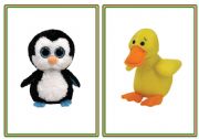 English Worksheet: More cute animal flashcards