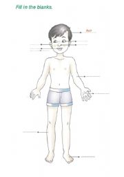 English Worksheet: body
