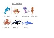 English worksheet: SEA ANIMALS