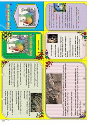 English Worksheet: Rainbow zebra: my minibook n3