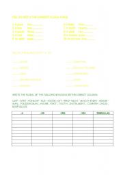 English Worksheet: plurals