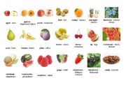 English Worksheet: fruit