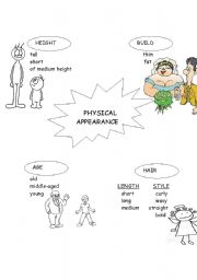 English Worksheet: Physical Appearance