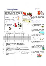 English Worksheet: homophones