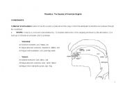 English Worksheet: Phonetics Sheet