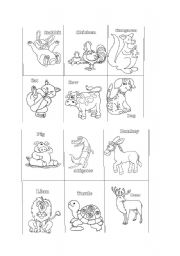 English Worksheet: Colour animals