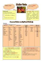 Stative verbs (grammar guide) 