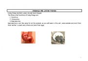 English Worksheet: Animals are living things. Animal classification