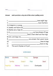 English worksheet: What kind of animal is it?