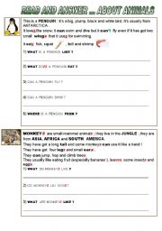 English Worksheet:  READ  AND  ANSWER  ABOUT PENGUINS AND MONKEYS