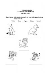 English worksheet: Carnivores Animals