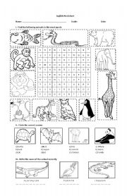 English Worksheet: Animals