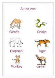 English worksheet: at the zoo