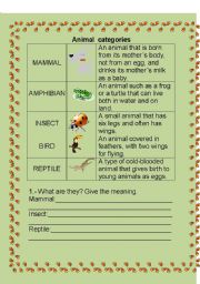 English worksheet: ANIMAL CATEGORIES