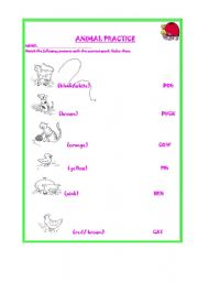 English worksheet: ANIMAL PRACTICE