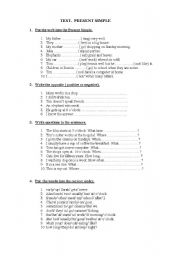 English Worksheet: Test  Present Simple