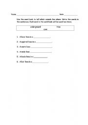 English worksheet: Where animals live   Fill in the blank