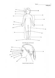 English Worksheet: Name the parts of the body