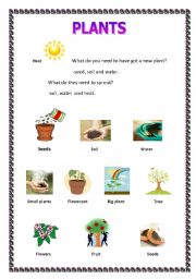 English Worksheet: How to have got  a plant