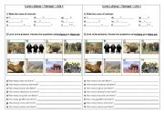 English Worksheet: Animals / There is / There Are