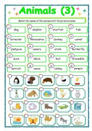 English Worksheet: Animals - matching (3/3)