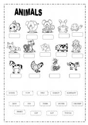 English Worksheet: ANIMALS