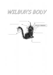 English worksheet: WILBURS BODY