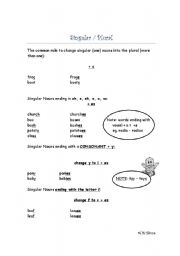 English worksheet: Singular Plural