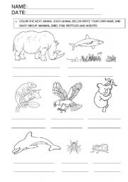 English Worksheet: animal classification