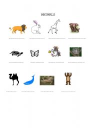 English worksheet: ANIMALS