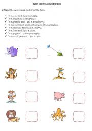 English Worksheet: animals and fruits