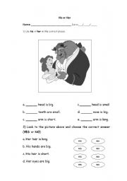 English Worksheet: His or Her