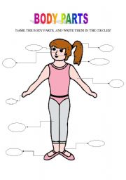 English Worksheet: body parts