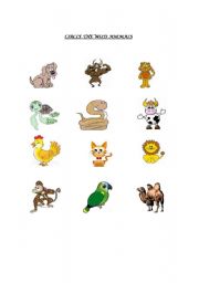 English worksheet: Animals