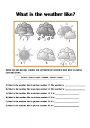 English Worksheet: The Weather