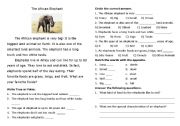 English Worksheet: The African Elephant