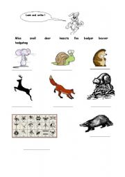English worksheet: The Hare and The tortoise page 2