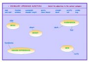 English worksheet: APPEARANCE ADJECTIVES