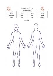 English worksheet: body parts