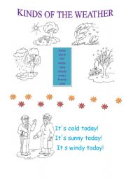 English worksheet: kinds of the weather