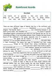 English Worksheet: Rainforest lizards