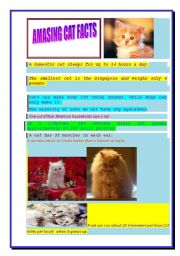 English Worksheet: Amasing cat facts