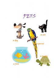 English worksheet: Pets