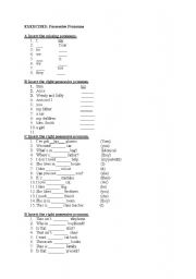 English Worksheet: possessive pronouns